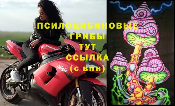 марихуана Новодвинск