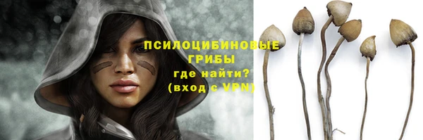 марки nbome Новозыбков