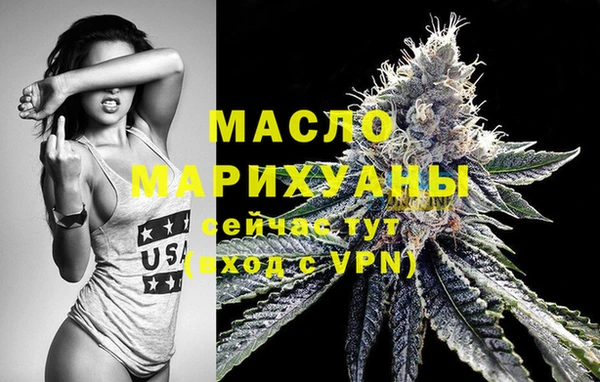 стаф Апатиты