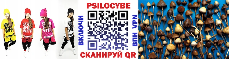 кракен маркетплейс  Чита  Псилоцибиновые грибы мухоморы 