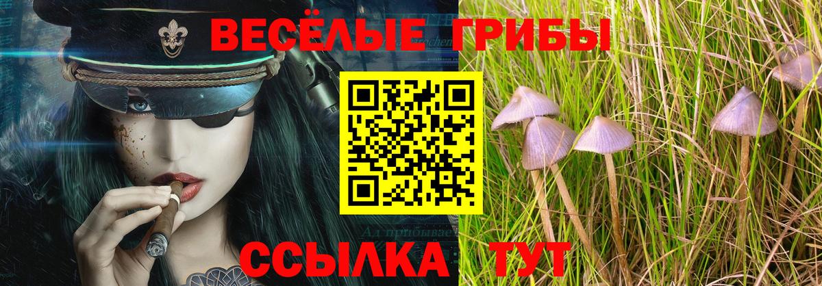 Галлюциногенные грибы Psilocybine cubensis Чита
